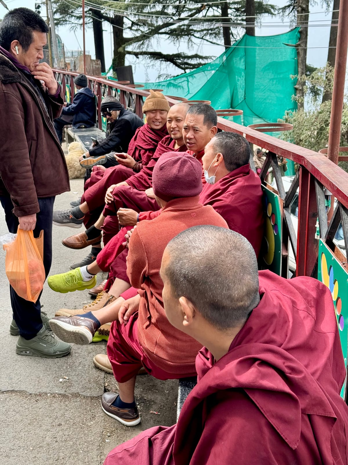 Dharamsala Diary Day 7